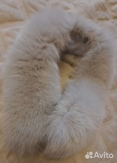 Меховой воротник песец, норка, опушка