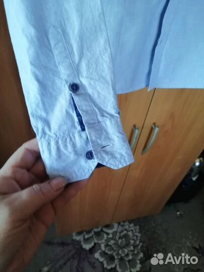 Рубашка для мальчика акула 152