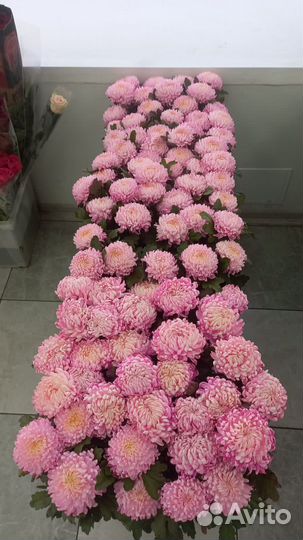 Хризантемы Крупные букет