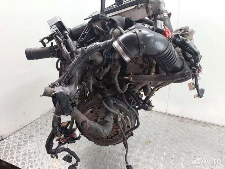 Двигатель Toyota Rav 4 2 (2000 - 2006) 2.0 1CD-FTV