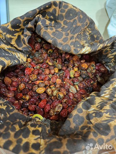 Плоды шиповника