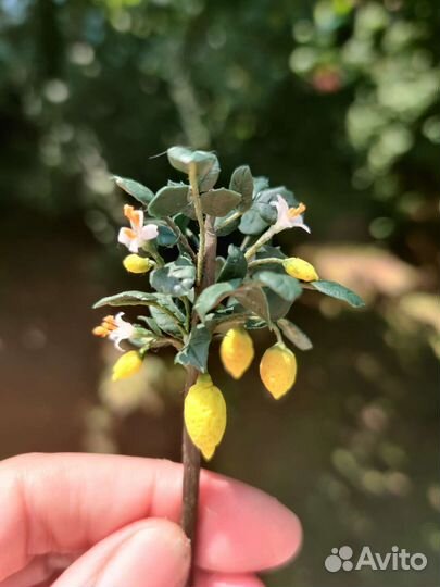 Лимонное дерево, миниатюра 1:12