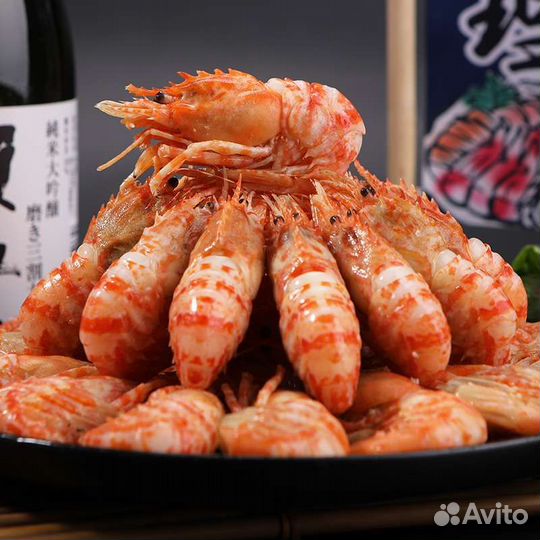 Rakivolok