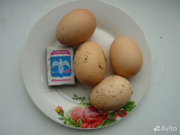 Картофель молодой домашний