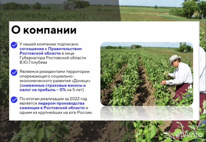 Инвестиции в развитие бизнеса