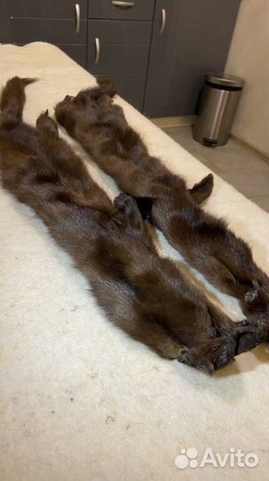 Шкурки норки, шкурки андатры, шкурки хорька