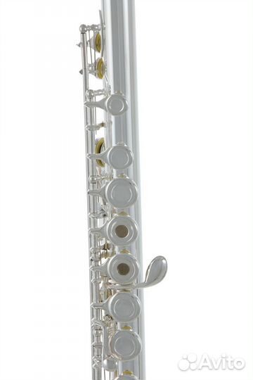 Флейта Roy Benson FL-402R