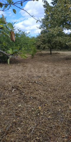 Участок 8 сот. (СНТ, ДНП)