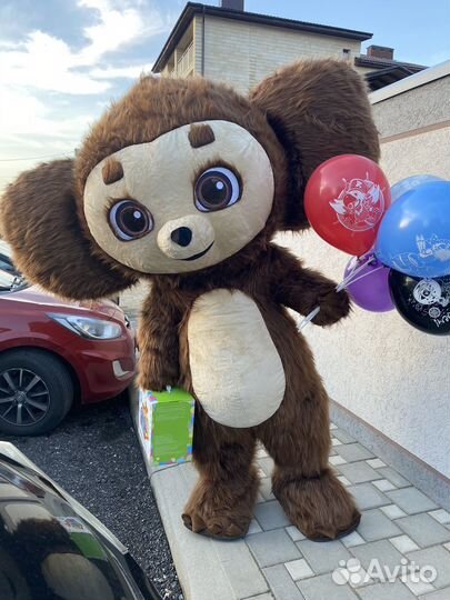 Аниматор/ поздравление от Ушастика