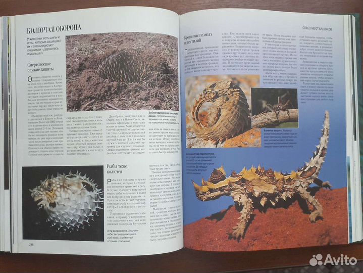 Секреты природы