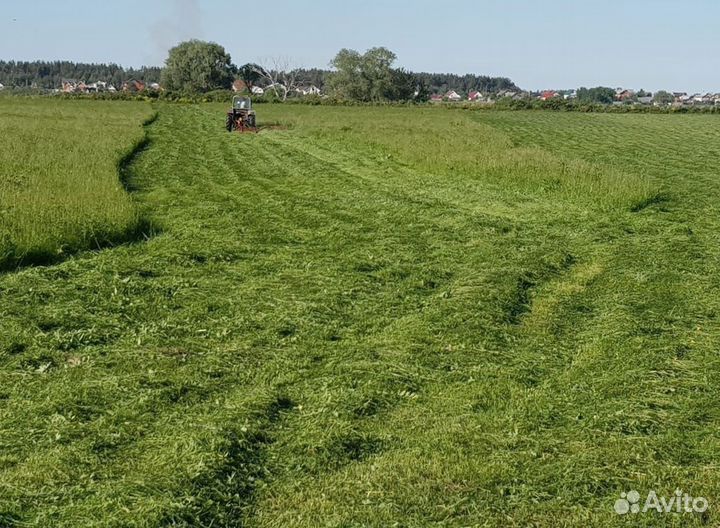 Сено в тюках