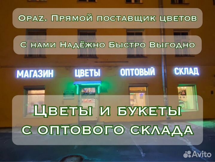 Ирисы цветы