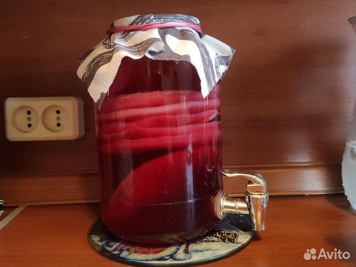 Чайный гриб