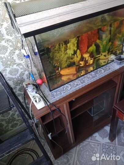 Аквариум на 70 литров с тумбой