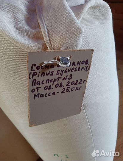 Семена ели от производителя