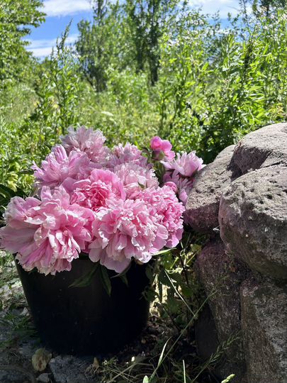 Дача 20 м² на участке 7,2 сот.