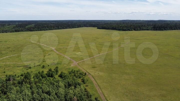 Участок 5 га (СНТ, ДНП)