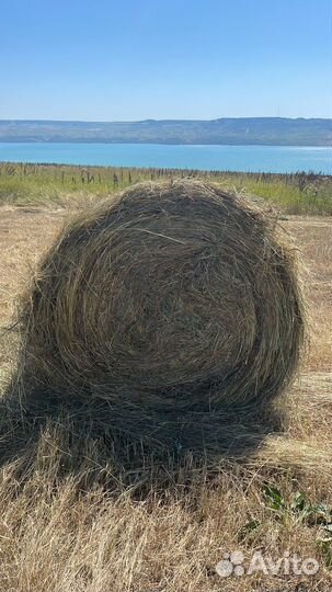 Сено Разнотравие с поля