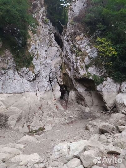 Экскурсии по Сочи