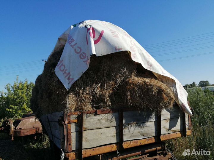Сено в рулонах и тюках