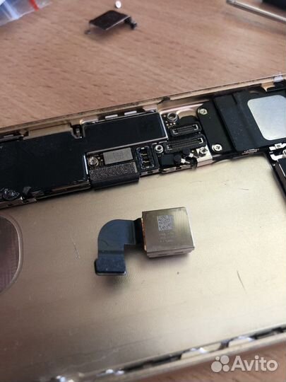 Основная камера iPhone 7