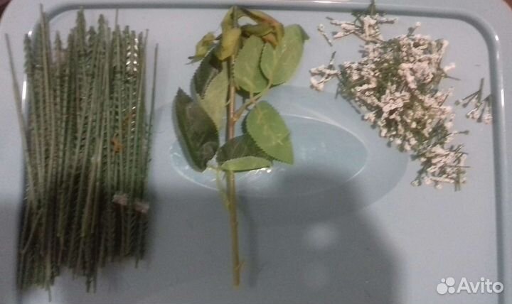 Цветы,листья,стебли. Листайте фото