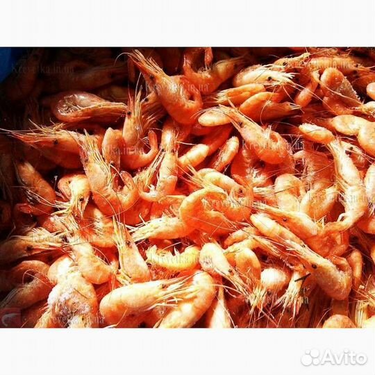 Креветки черноморские