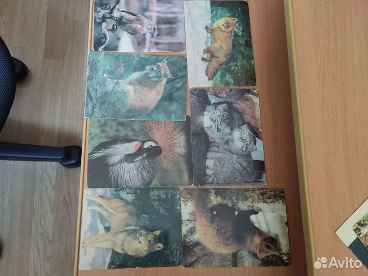 Открытки СССР