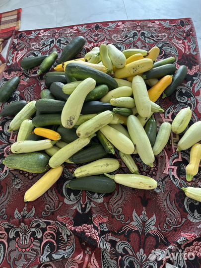 Кабачки молодые