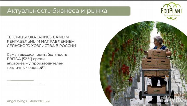 Инвестиции в готовый бизнес