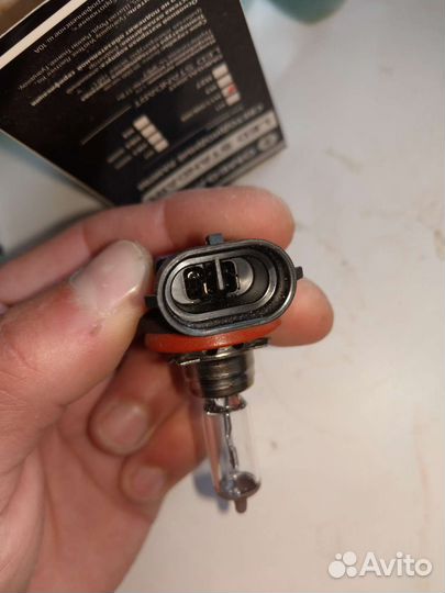 Лампа галогенная H11