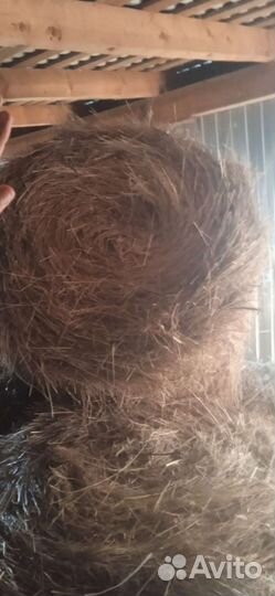 Сено в тюках