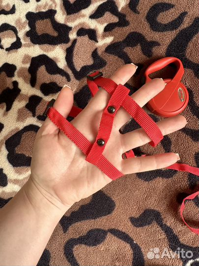 Шлейка для маленькой собакиили кошки