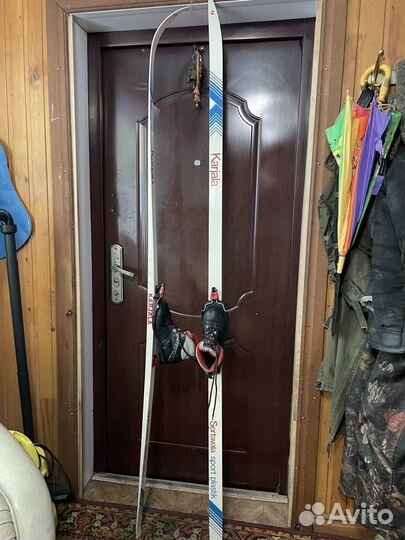 Беговые лыжи