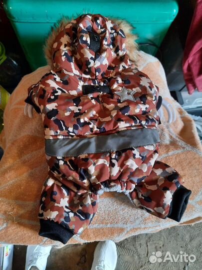 Одежда для собак мелких пород