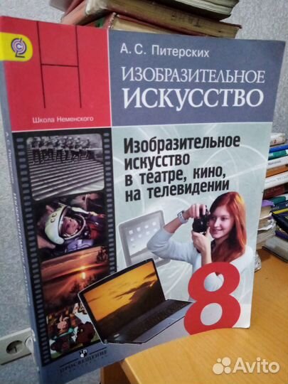 Изобразительное искусство 8 класс питерских