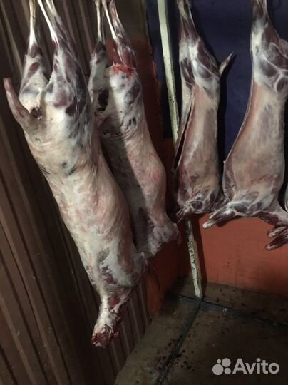 Мясо баранина халяль