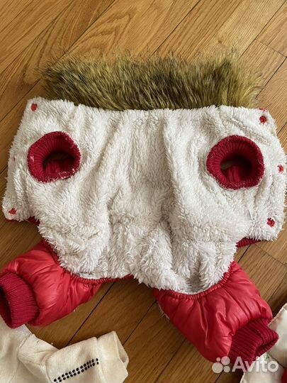 Одежда для маленьких собак