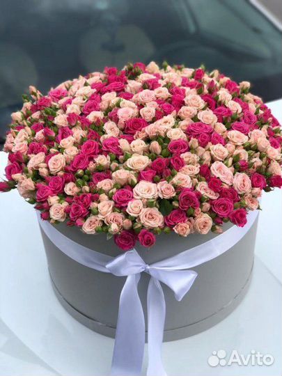 Кустовые розы на дом