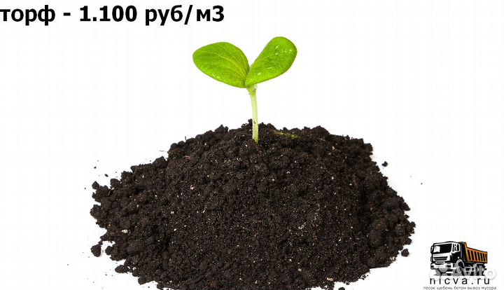 Торф