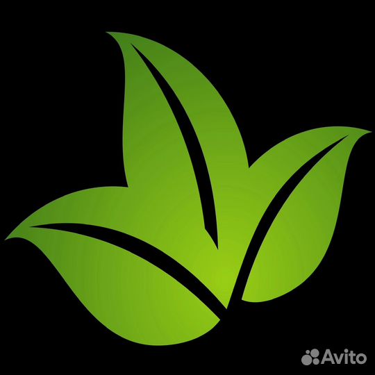 Требуется дезинфектор на своем авто без опыта