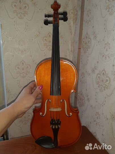 Скрипка 1/2