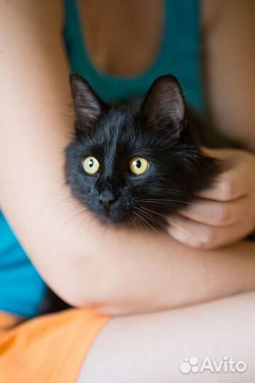 Масю не замечают, нужен дом