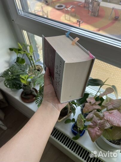 Словарь Мюллера