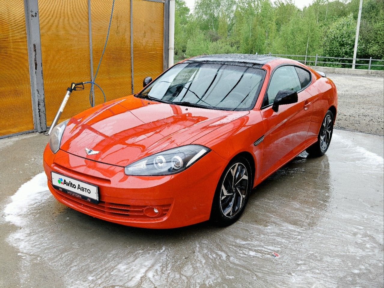 Hyundai Tiburon: фото владельца