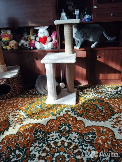 Ковер 230 большой