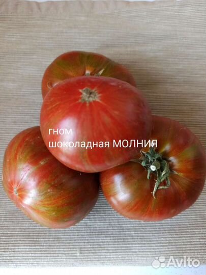 Семена помидор Гном томатный