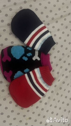 Одежда для собак