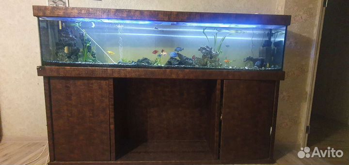 Аквариум с тумбой бу