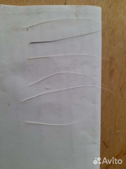 Кошачьи усы